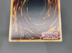 YuGiOh Gravekeeper's Priestess ABPF-ENSP1 Limited Edition Ultra Rare NM - Image 5