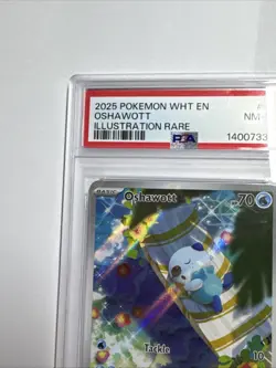 PSA NM-MT 8 Oshawott 105/086 Illustration Rare - White Flare - Pokemon TCG - Image 2