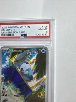 PSA NM-MT 8 Oshawott 105/086 Illustration Rare - White Flare - Pokemon TCG - Image 3