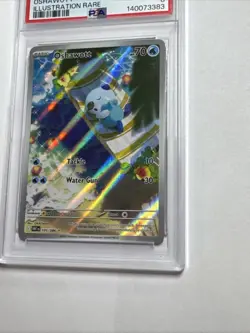 PSA NM-MT 8 Oshawott 105/086 Illustration Rare - White Flare - Pokemon TCG - Image 4