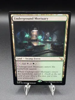 1x Underground Mortuary NM-Mint, English Murders at Karlov Manor MTG Magic - Image 1