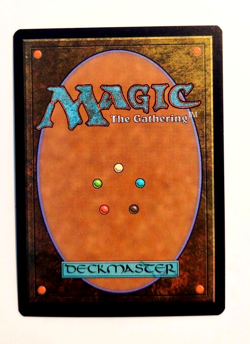 Terrasymbiosis (Borderless) - Edge of Eternities (EOE) - EN - R 0312 - Image 2