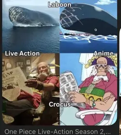 Crocus [& Laboon (whale)] OP12-003 UC One Piece card, Netflix Season 2, ep. 2 - Image 2