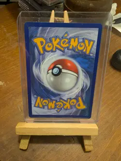 Pokemon Squirtle Illustration Rare Full Art Holo 60 HP Card 148/142 SV07 English - Image 2