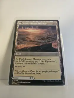 Witch Enchanter/Witch-Blessed Meadow - NM - MTG - Modern Horizons 3 - MH3 #239 - Image 2