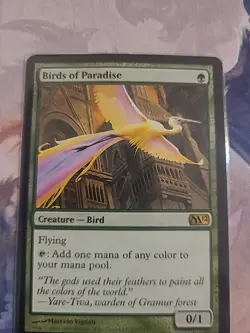 Birds of Paradise - Image 1