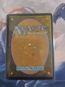 Birds of Paradise - Image 2