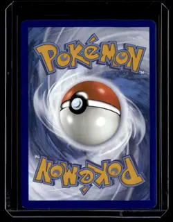 Lileep 145/142 Stellar Crown Pokemon Card 2024 NM - Image 2