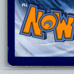 Raichu Pokemon TCG Evolving Skies Reverse Holo Rare 050/203 - Image 3