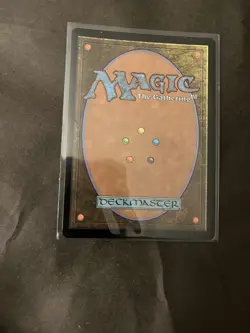 1x Seedborn Muse - Commander 2019 - NM - MTG - Image 2