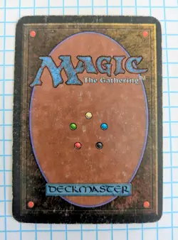 Dragon Whelp Alpha limited edition - Image 2