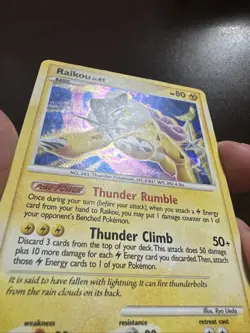 Raikou Lv.42 16/132 Cracked Ice Holo Pokemon TCG Secret Wonders HP - Image 2