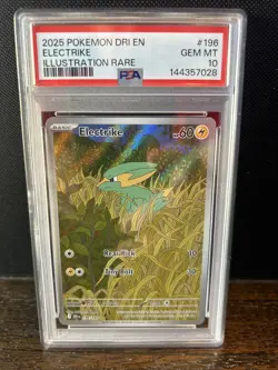 Electrike 196/182 Sv10: Destined Rivals Holo Illustration Rare Pokemon PSA 10 - Image 1