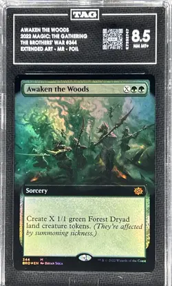 MTG ** AWAKEN THE WOODS ** The Brothers' War (Extended Art, Foil)💎TAG 8.5💎 - Image 1