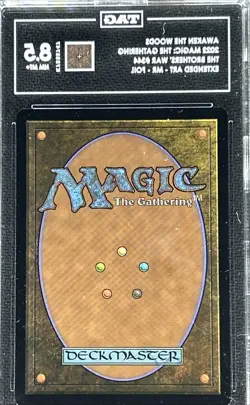 MTG ** AWAKEN THE WOODS ** The Brothers' War (Extended Art, Foil)💎TAG 8.5💎 - Image 3