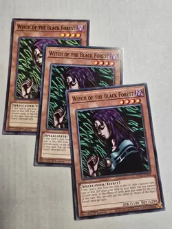 X3 Witch of the Black Forest - SDCK-EN024 - Common 1st Edition - Yugioh - Image 1