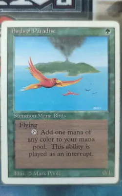 Birds of Paradise Revised Edition Regular - Image 1