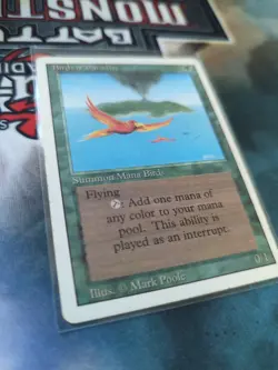 Birds of Paradise Revised Edition Regular - Image 2