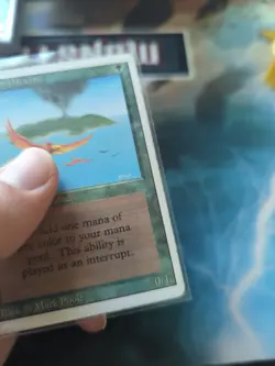 Birds of Paradise Revised Edition Regular - Image 3