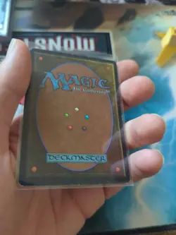 Birds of Paradise Revised Edition Regular - Image 5