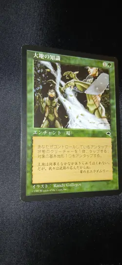 Mtg Lp Tempest Rare Japanese Earthcraft Vintage Magic The Gathering Card - Image 2