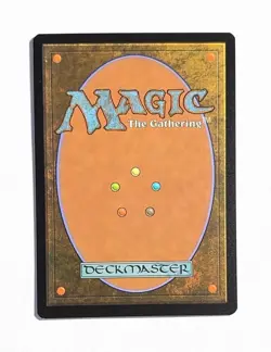 Casey Jones Jury-Rig Justiciar ~ Teenage Mutant Ninja Turtles ~ Borderless #0207 - Image 2