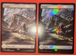 MTG, MAGIC: 2X PLAY SET, FIN, WASTES, 0309 - NM - REGULAR & FOIL FINISH - Image 1