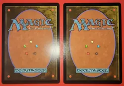 MTG, MAGIC: 2X PLAY SET, FIN, WASTES, 0309 - NM - REGULAR & FOIL FINISH - Image 2