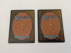 Played Koskun Falls Homelands Mtg Magic the Gathering x 1 - Image 2