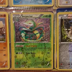 Pokemon TCG Card Lot of 9, Timburr, Serperior, Honedge, Snivy, Dewott, Energy - Image 3