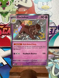 Dachsbun 161/091 Baby Shiny - Paldean Fates - Pokemon TCG - SHIPS FAST - Image 1