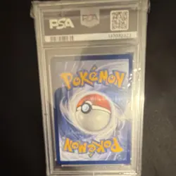 Pokemon Morpeko SV04: Paradox Rift 206/182 Illustration Rare Holo PSA 9 - Image 2