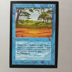 Phantasmal Terrain x (1) MTG - Collectors' Edition (CE) - EX/NM - Image 1