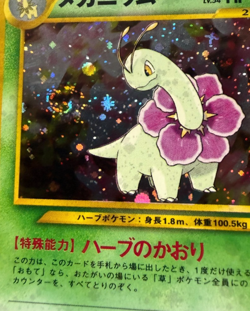 1999 POKEMON JAPANESE NEO PROMO #154 MEGANIUM-HOLO PREMIUM FILE PSA 10 *SWIRL* - Image 4