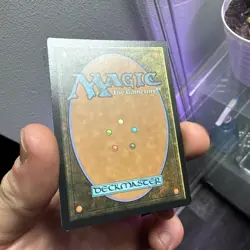 MTG Waste Not BORDERLESS FOIL 0132 TMC magic the gathering ninja turtle fresh - Image 3