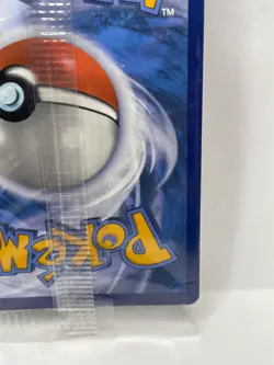 Pokemon TCG Charmander Obsidian Flames ETB Black Star Promo SVP044 - Image 5