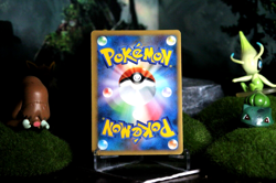 Pokemon Card Shining Suicune HGSS60 Promo 2010 Japanese (NM-) (Store Copy #3) - Image 2