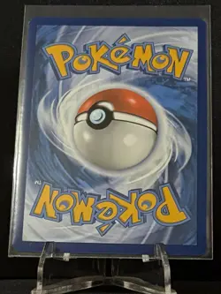 2023 Pokemon Galarian Moltres SWSH284 Sword & Shield Promo - Image 2