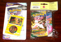 Pokemon TCG Sword & Shield: Evolving Skies Mini Portfolio + Booster Pack new - Image 1