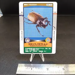 Eupatorus Gracilicornis Insect Card Collection Rare Vintage From Japan - Image 1