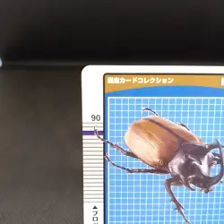 Eupatorus Gracilicornis Insect Card Collection Rare Vintage From Japan - Image 2