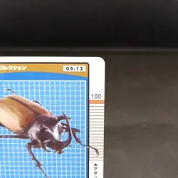 Eupatorus Gracilicornis Insect Card Collection Rare Vintage From Japan - Image 3