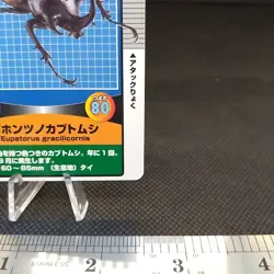 Eupatorus Gracilicornis Insect Card Collection Rare Vintage From Japan - Image 5