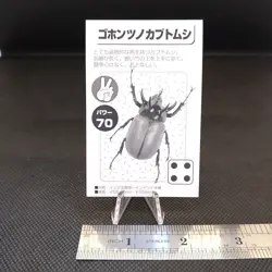Eupatorus Gracilicornis Paper Card Insect Card Rare Vintage Japan Paper B - Image 4