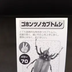 Eupatorus Gracilicornis Paper Card Insect Card Rare Vintage Japan Paper B - Image 5