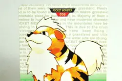 Pokemon card arddass Growlithe 2set No.058 GREEN / Bandai 1996 / 1997 Japanese - Image 3