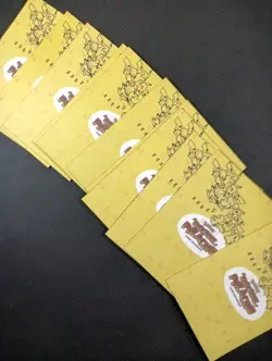 Pokemon Electric Pikachu Database Peru Sports Full Set Holo Ice Cracked - Image 4