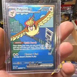 Pokemon TCG Pidgeot ex & Pidgey OBF Holo 2 Card Lot English 2023 - Image 3