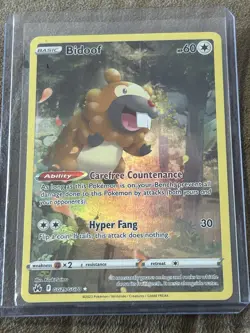 Bidoof GG29/GG70 Crown Zenith Galarian Gallery 2023 Pokemon TCG Card - Image 1