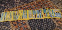 Pokemon TCG Bulk Lot - 100 Water-Type Common/Uncommon Pokemon, no Energy - Image 3